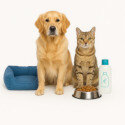 Pet Care & Supplies
