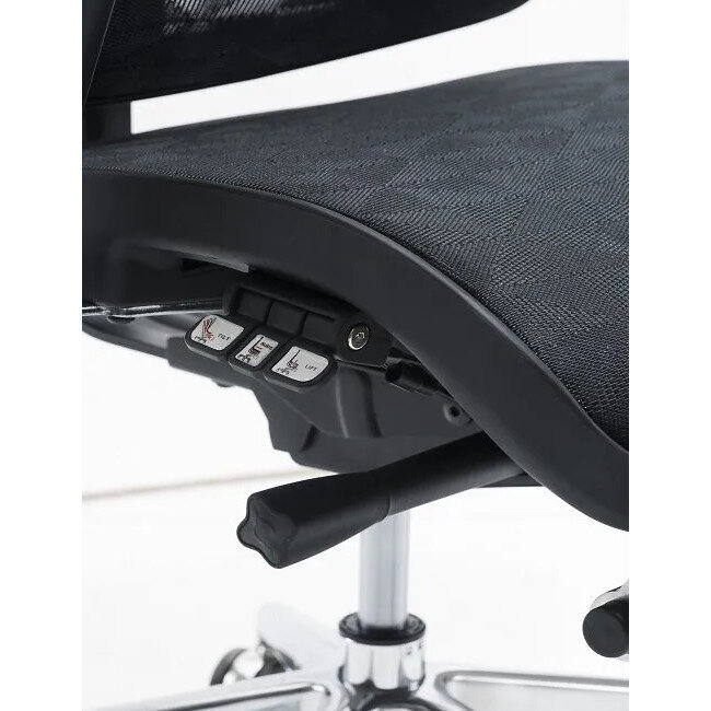 Dorsum Executive Ergonomic Mesh Posture Office Chair - Adjustable Headrest - Adjustable Lumbar Support -  Modern Design - Black