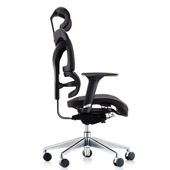Dorsum Executive Ergonomic Mesh Posture Office Chair - Adjustable Headrest - Adjustable Lumbar Support -  Modern Design - Black - Side View