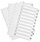 Index A4 Multi-Punched 1-10 Reinforced White Board Clear Tabbed Divider