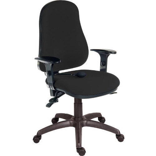 Ergo Comfort Fabric Ergonomic Posture Office Chair With Pump Up Lumbar