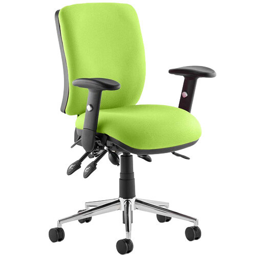 Chiro Medium Back Task Operator Chair With Height Adjustable Arms  Myrrh Green 24/7 Task Usage, Adjustable pump up lumbar, Height Adjustable Back Rest, 3 Lever Mechanism, Gas lift tested up to 150kg