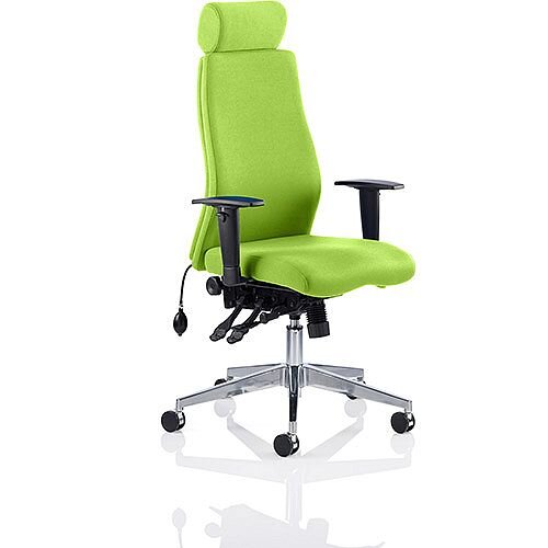 Onyx High Back Ergonomic Posture Office Chair With Headrest Swizzle Green With Arms