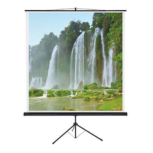 Franken Tripod Projection Screen ValueLine W:2000xH:2000mm Format 1:1 LWST220