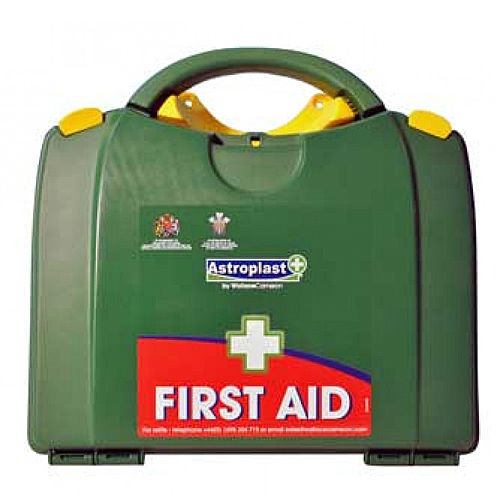 Green Box HSE 11-20 Person First Aid Kit – Compliant With Health &Safety Regulation, Wall-Mountable, Durable, Compartmentalised &Hinged Case (1001019) Green Box HSE 11-20 Person First Aid Kit – Compliant With Health &Safety Regulation, Wall-Mountable, Durable, Compartmentalised &Hinged Case (1001019)