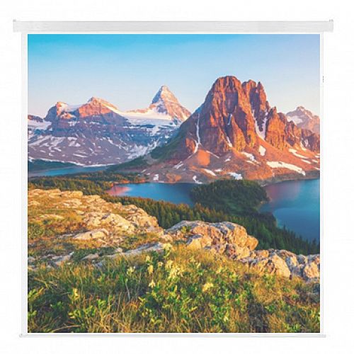Franken ECO W2400 x H2400mm Electric Roll-Up Projection Screen Franken ECO W2400 x H2400mm Electric Roll-Up Projection Screen