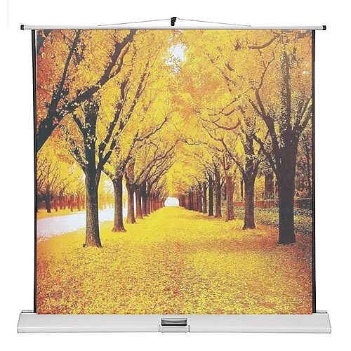 Franken Portable Projection Screen ValueLine W:1600xH:1600mm Format 1:1 LWM21616 Franken Portable Projection Screen ValueLine W:1600xH:1600mm Format 1:1 LWM21616