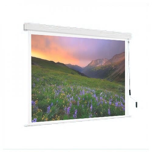 Franken PRO W2000 x H2000mm Roll-Up Projection Screen XRR20