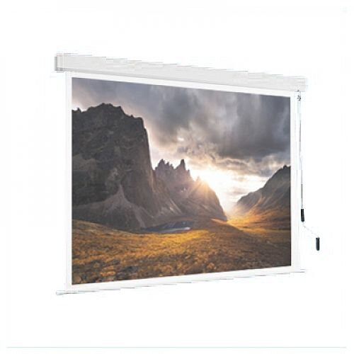 Franken PRO W2400 x H2400mm Roll-Up Projection Screen XRR24