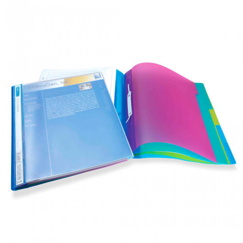 Rapesco Project File Polypropylene A4+ 5 Part Transparent Assorted Colours (Pack 5) - 668