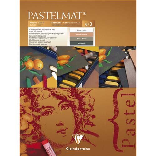 Clairefontaine Pastelmat Pad No.2 300x400mm 360gsm 12 Sheets 4 Colour