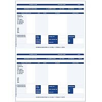 Iris Compatible A4 Payslip 2 per Sheet 1 x Pack of 1000 Payslips Iris Compatible A4 Payslip 2 per Sheet 1 x Pack of 1000 Payslips