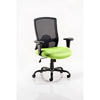 Portland HD - Heavy Duty - Mesh Back Task Operator Office Chair - Robust Frame, Large Seat & Back - Max Weight 32 Stone/203kg - Swizzle Green Portland HD - Heavy Duty - Mesh Back Task Operator Office Chair - Robust Frame, Large Seat & Back - Max Weight 32 Stone/203kg - Swizzle Green