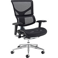 Dynamo Ergo Mesh Back 24 Hour Posture Chair with Chrome Base Black Dynamo Ergo Mesh Back 24 Hour Posture Chair with Chrome Base Black
