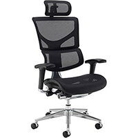 Dynamo Ergo Mesh Back 24 Hour Posture Chair with Chrome Base and Headrest Black Dynamo Ergo Mesh Back 24 Hour Posture Chair with Chrome Base and Headrest Black