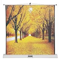 Franken Portable Projection Screen ValueLine W:1600xH:1600mm Format 1:1 LWM21616 Franken Portable Projection Screen ValueLine W:1600xH:1600mm Format 1:1 LWM21616