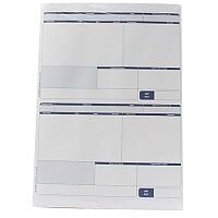Sage Compatible Address Pay Advice 1-Part Pack of 500 SE96S Sage Compatible Address Pay Advice 1-Part Pack of 500 SE96S