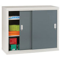 Light Grey Cupboard Sliding Door 40 InchesX48 InchesX18 Inches Blue Doors