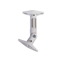NewStar Universal Wall & Ceiling Speaker Mount (set of two) - White - Mounting kit (wall/ceiling mount) for speaker(s) - white NewStar Universal Wall & Ceiling Speaker Mount (set of two) - White - Mounting kit (wall/ceiling mount) for speaker(s) - white