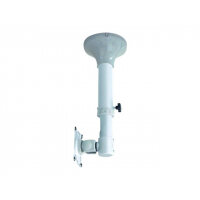 NewStar TV/Monitor Ceiling Mount for 10"-30" Screen, Height Adjustable - Silver - Ceiling mount for LCD display - silver - screen size: 10"-30" NewStar TV/Monitor Ceiling Mount for 10"-30" Screen, Height Adjustable - Silver - Ceiling mount for LCD display - silver - screen size: 10"-30"