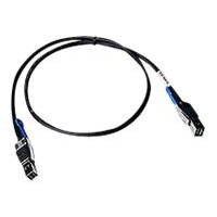 LSI - SAS external cable - 36 pin 4x Shielded Mini MultiLane to 36 pin 4x Shielded Mini MultiLane - 1 m LSI - SAS external cable - 36 pin 4x Shielded Mini MultiLane to 36 pin 4x Shielded Mini MultiLane - 1 m