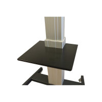 NewStar Laptop shelf for PLASMA-M2500 & PLASMA-W2500 series of motorized units - Mounting component (shelf) for AV System - black - cart mountable - for NewStar Motorized, PLASMA-W2500 NewStar Laptop shelf for PLASMA-M2500 & PLASMA-W2500 series of motorized units - Mounting component (shelf) for AV System - black - cart mountable - for NewStar Motorized, PLASMA-W2500