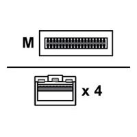 Extreme Networks - Direct attach cable - QSFP28 to SFP28 - 3 m - passive Extreme Networks - Direct attach cable - QSFP28 to SFP28 - 3 m - passive