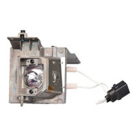 InFocus - Projector lamp - 5000 hour(s) (standard mode) / 7000 hour(s) (economic mode) - for InFocus IN119HDxa InFocus - Projector lamp - 5000 hour(s) (standard mode) / 7000 hour(s) (economic mode) - for InFocus IN119HDxa