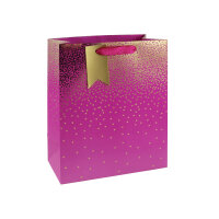 Eurowrap Ombre Gift Bag 210gsm Large Pink Pack of 6 29835-2CC