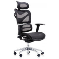 Dorsum Executive Ergonomic Mesh Chair with Headrest Black Dorsum Executive Ergonomic Mesh Chair with Headrest Black