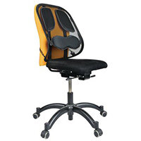 Professional Series Mesh Back Support